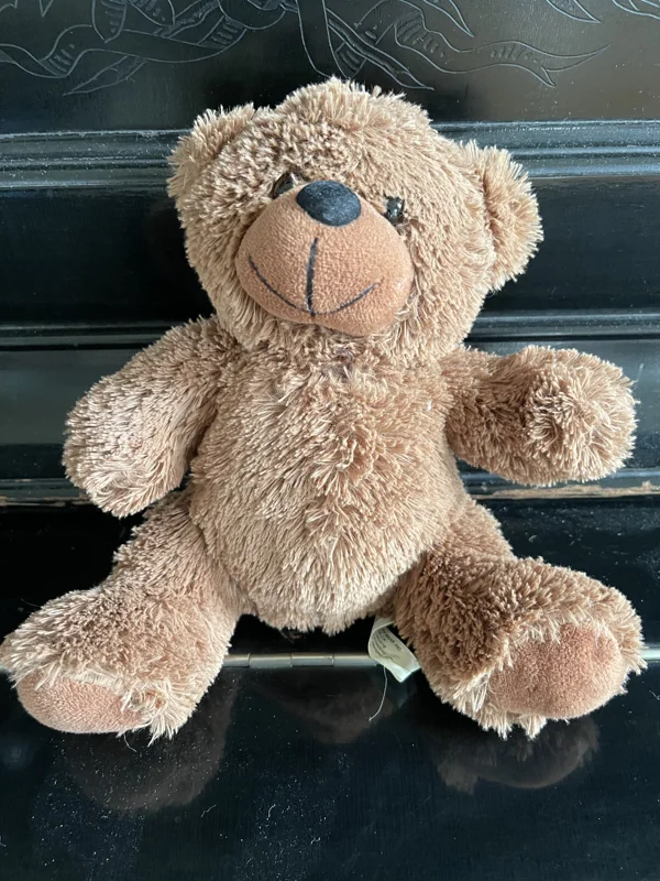 Classic Brown Teddy Bear Plush – Soft & Cuddly 🧸🤎